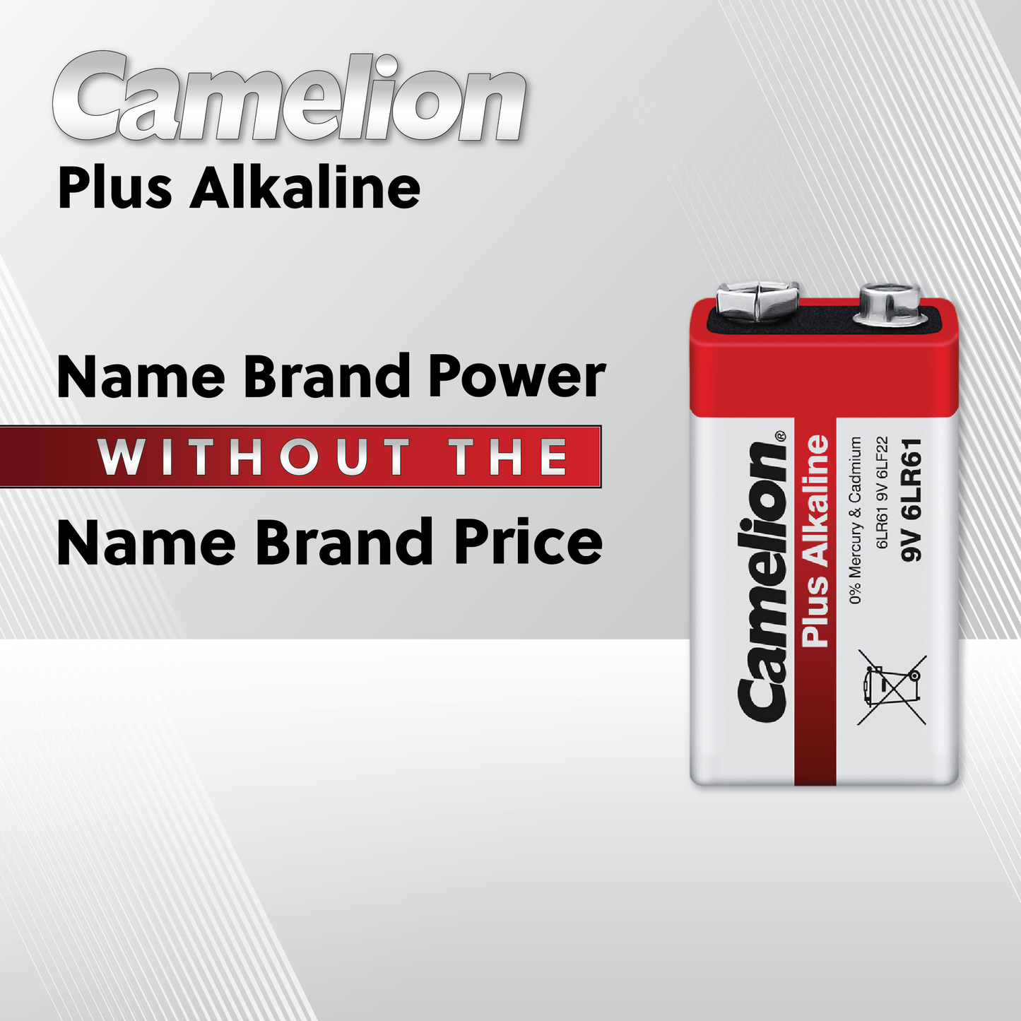 Camelion AA Plus Alkaline Batteries Box Pack of 12