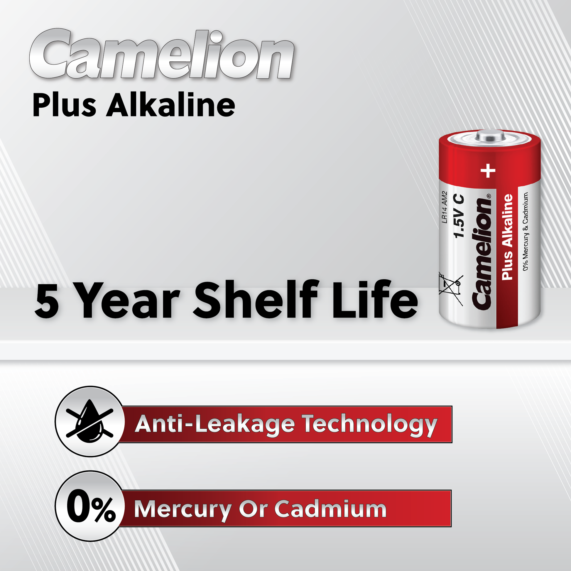 Boite de 12 piles Alcaline plus AAA LR03 Camelion
